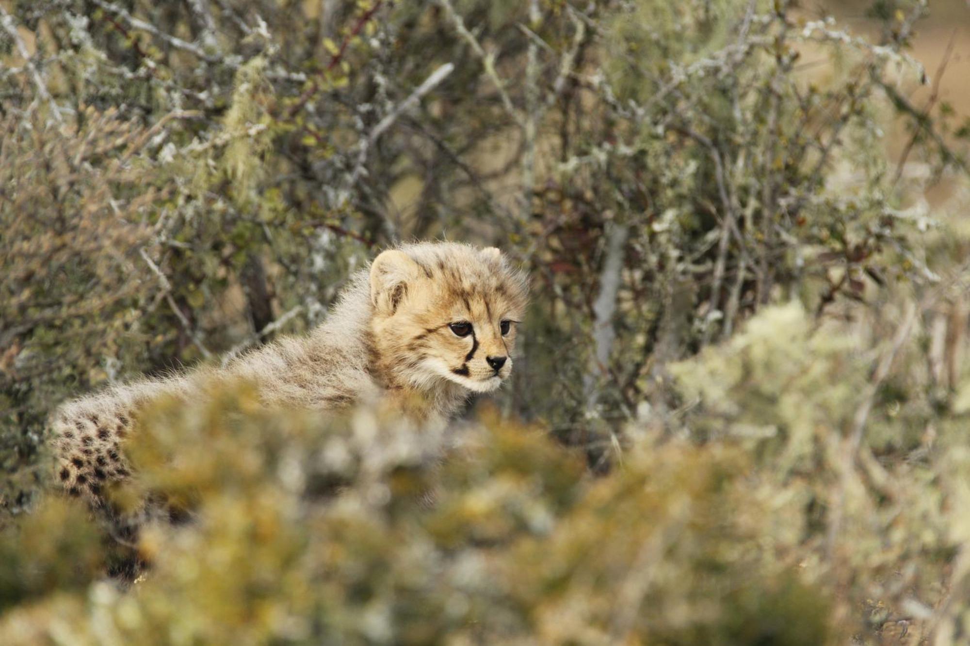 Kwandwe Private Game Reserve - Great Fish River Lodge Grahamstown Εξωτερικό φωτογραφία
