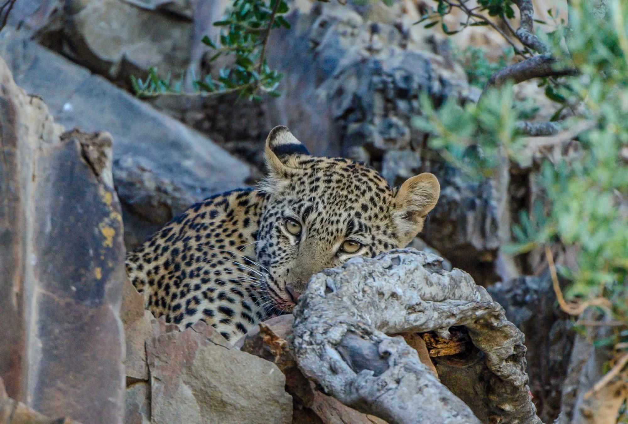 Kwandwe Private Game Reserve - Great Fish River Lodge Grahamstown Εξωτερικό φωτογραφία
