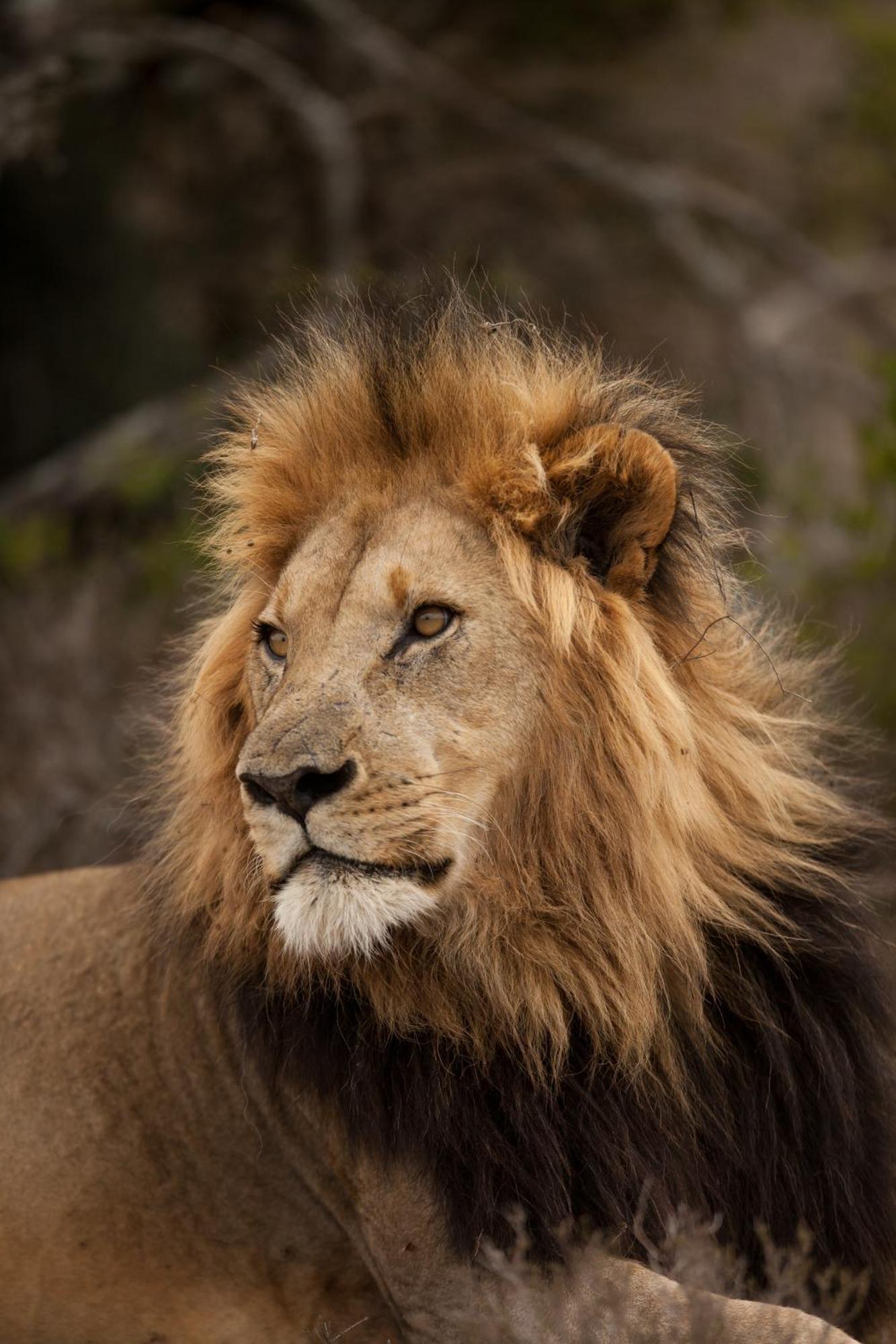 Kwandwe Private Game Reserve - Great Fish River Lodge Grahamstown Εξωτερικό φωτογραφία