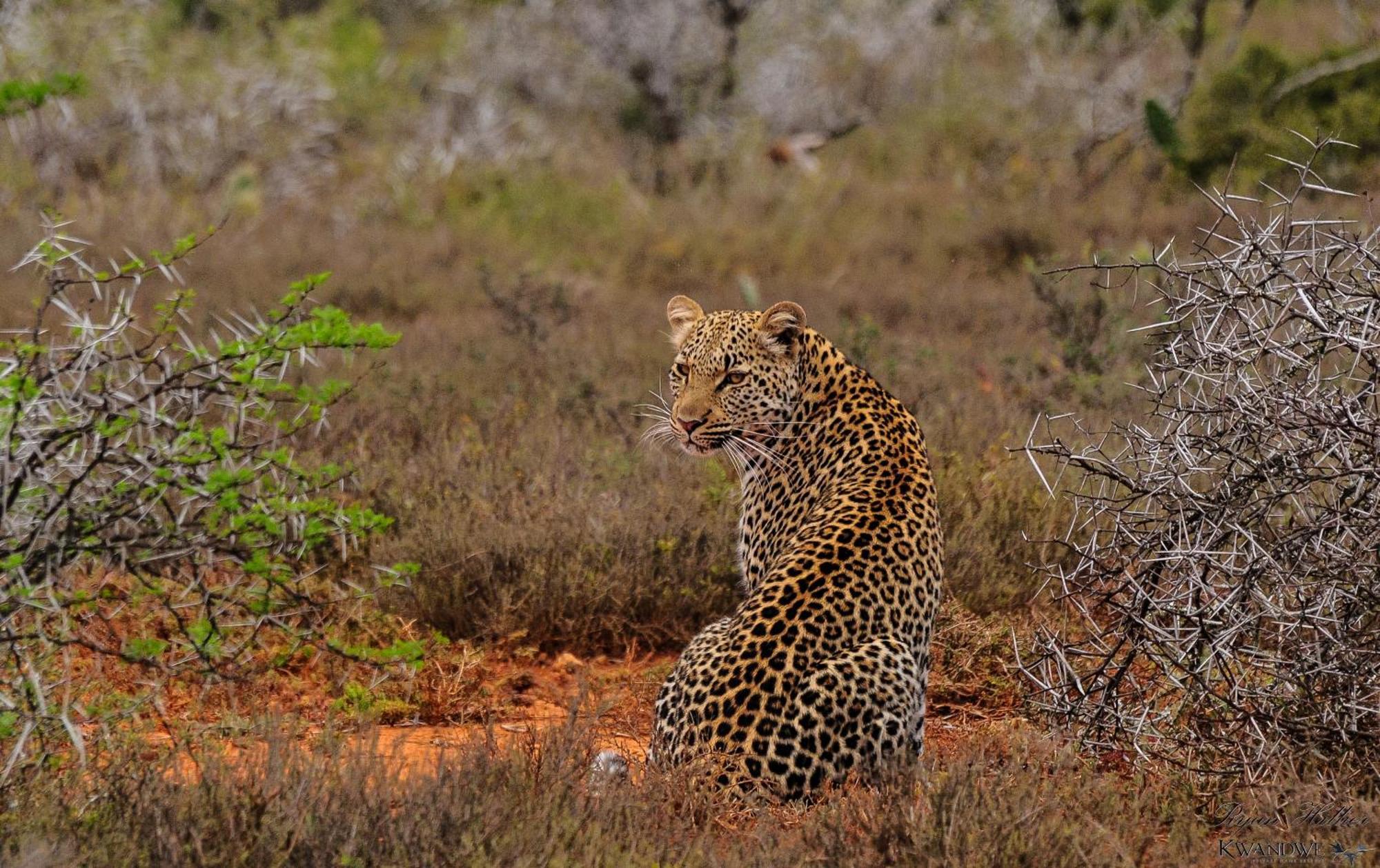 Kwandwe Private Game Reserve - Great Fish River Lodge Grahamstown Εξωτερικό φωτογραφία