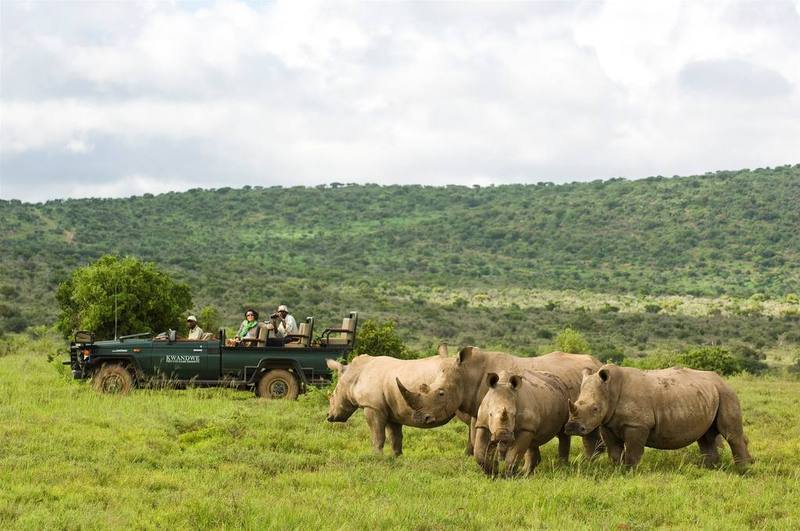 Kwandwe Private Game Reserve - Great Fish River Lodge Grahamstown Εξωτερικό φωτογραφία