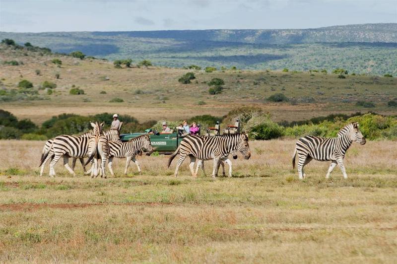 Kwandwe Private Game Reserve - Great Fish River Lodge Grahamstown Εξωτερικό φωτογραφία
