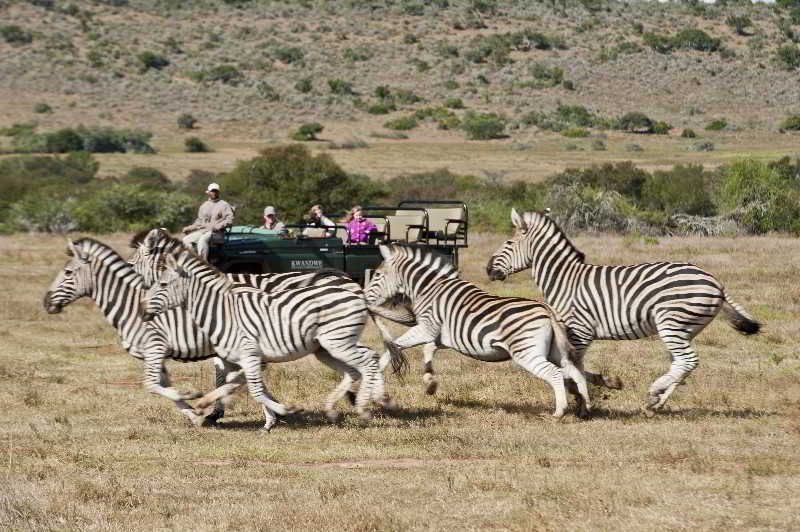 Kwandwe Private Game Reserve - Great Fish River Lodge Grahamstown Εξωτερικό φωτογραφία